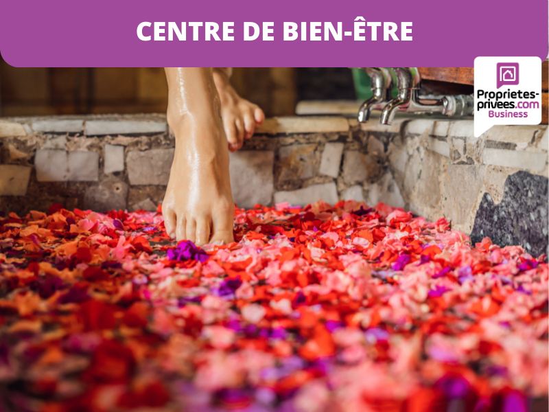 TOULOUSE -  Chambre romantique avec jacuzzi, (secteur Zénith)