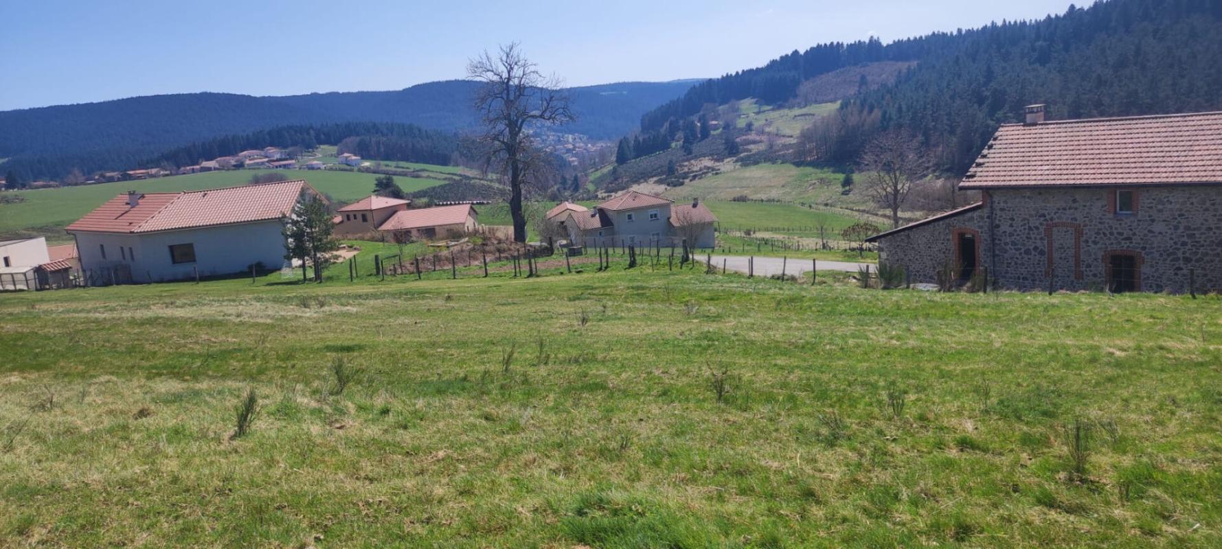Riotord 43220 parcelle de terrain de 1770 m² dont 1645 m² constructibles prix de vente 52000