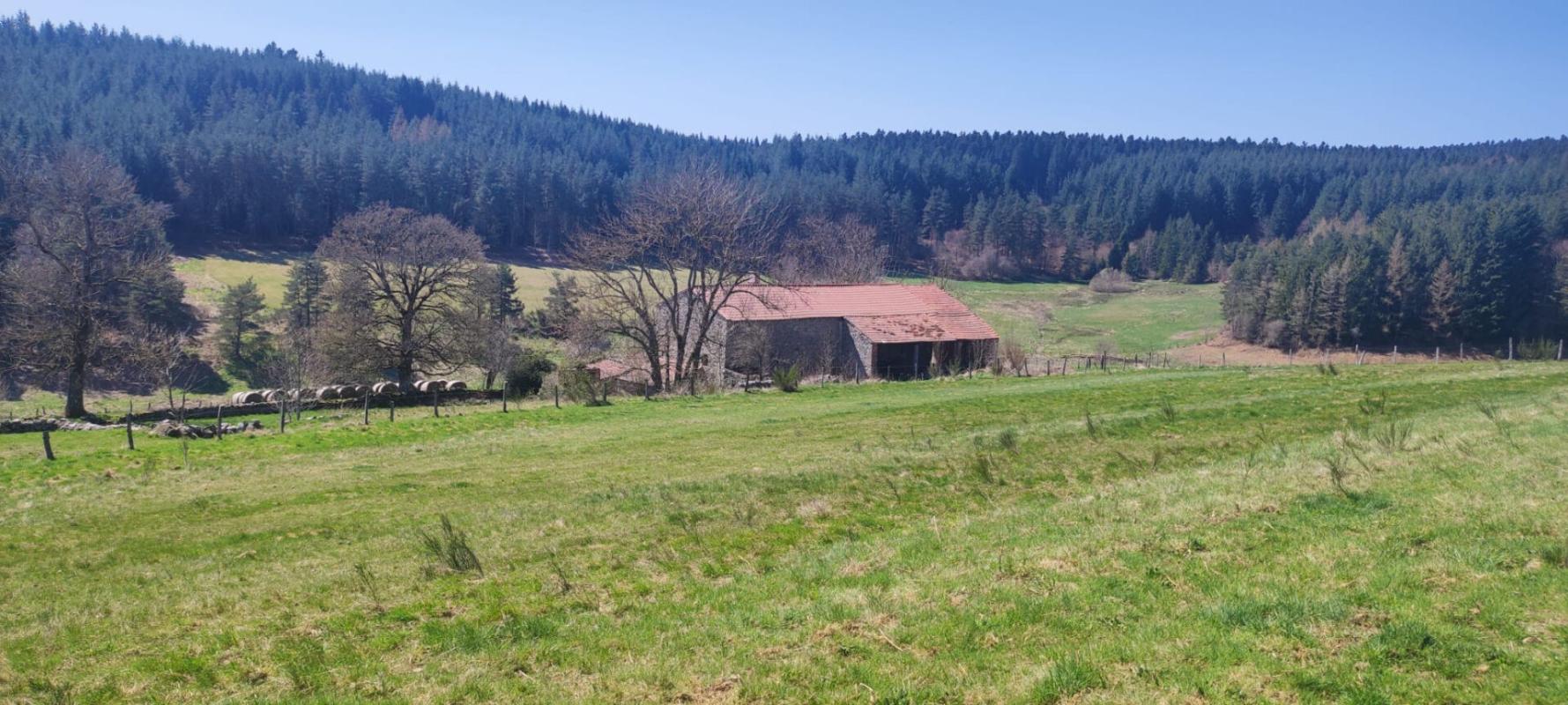 EXCLUSIVITE RIOTORD 43220 côté MARLHES 42660 parcelle de terrain de 1990m² dont 1715m² constructibles