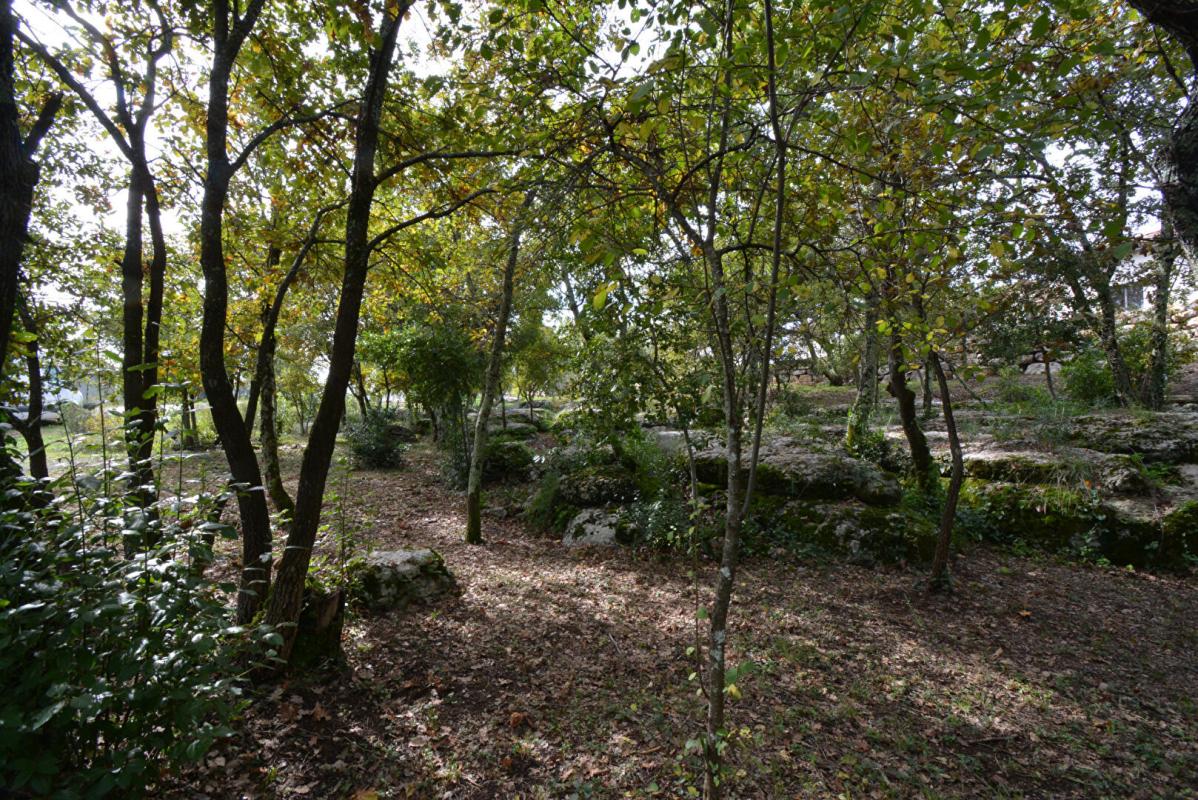 Terrain 1794 m2