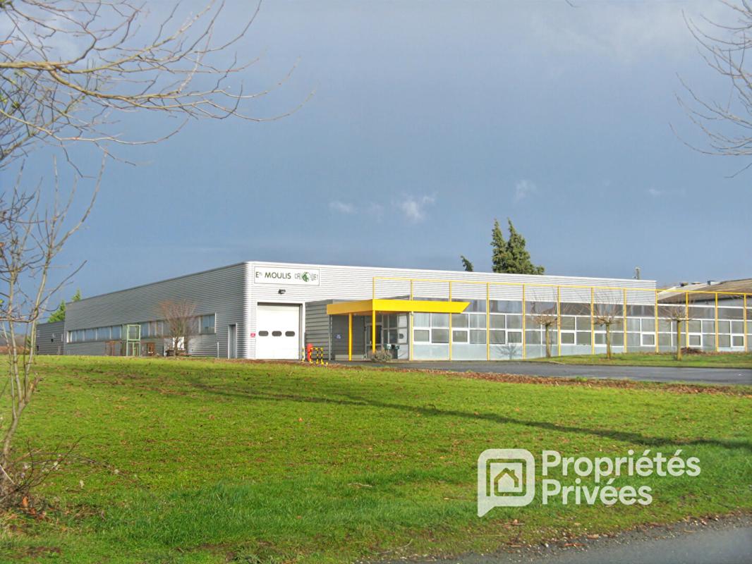 MONTREDON LABESSONNIE - Local d'activité, Entrepôt industriel 1 200 m²