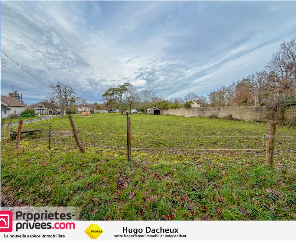 Terrain Cosntructible -Theillay - 1106 m²