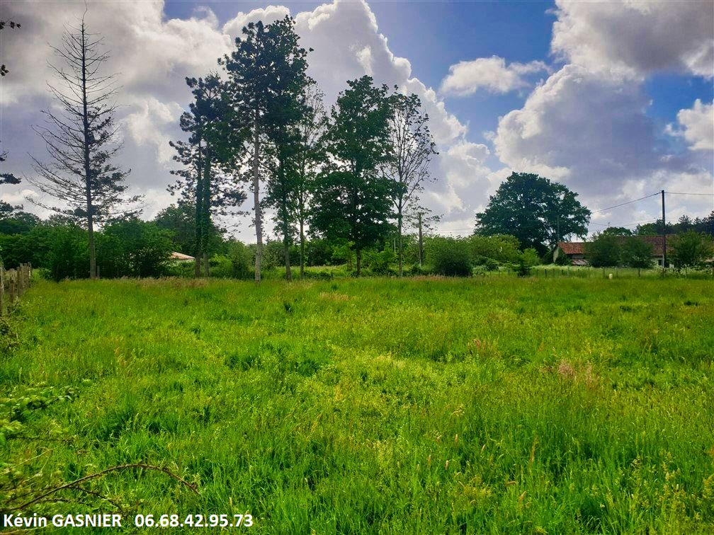 GRASSAC (16380) : Terrain à bâtir de 19380m2 (Bois + partie constructible)