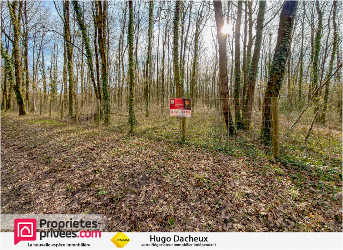 Terrain constructible - 6783 m² - Boisé