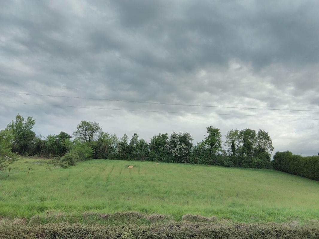 Terrain  1558 m2