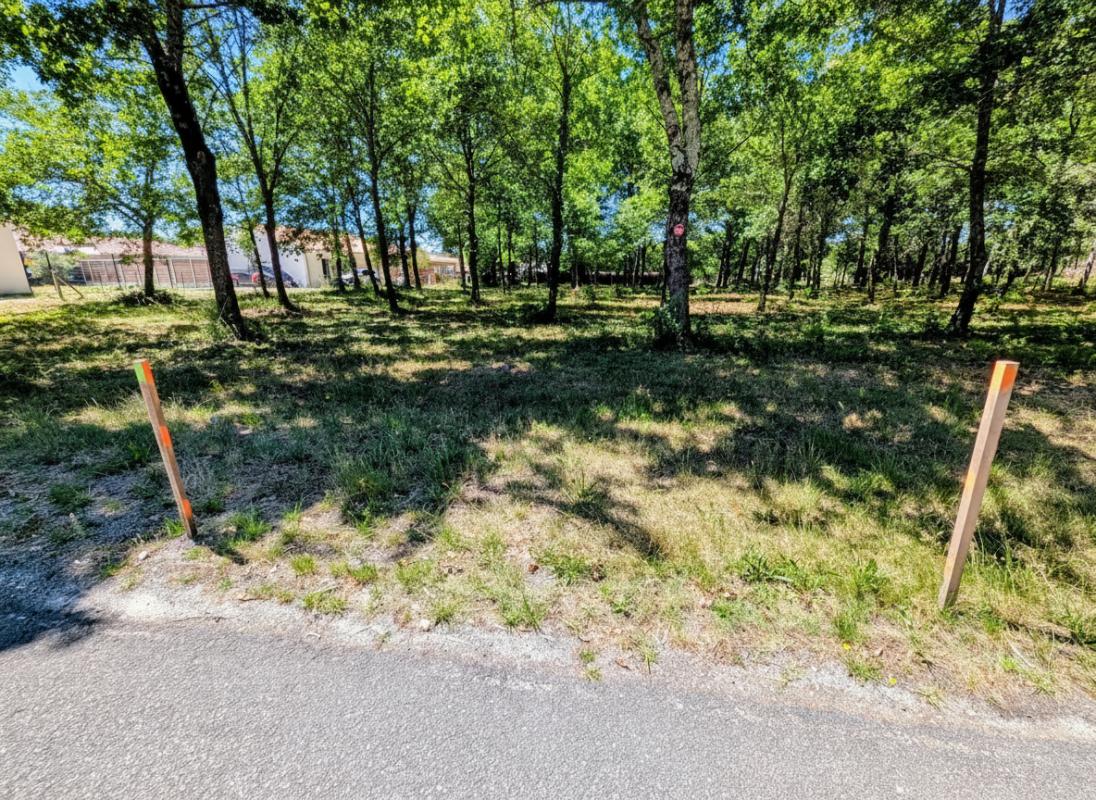 Terrain Belin Beliet 472m2