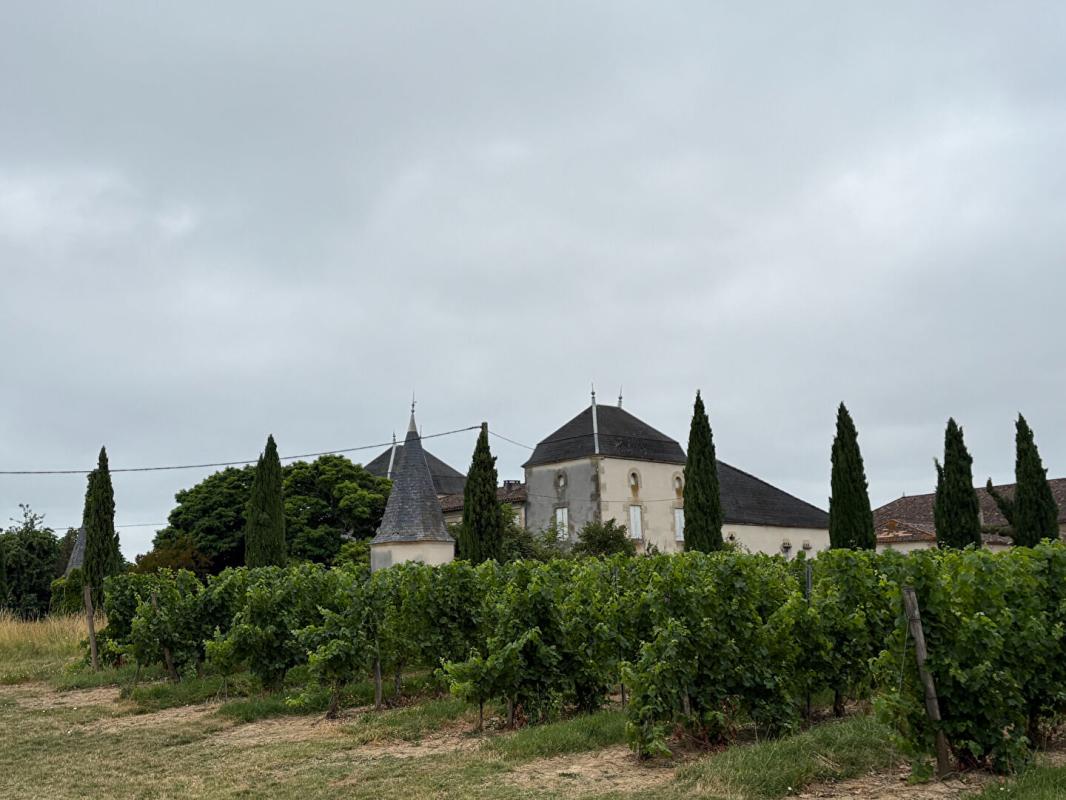 Château confidentiel à Massugas, dominant les côteaux, entre Pellegrue et Sauveterre de Guyenne