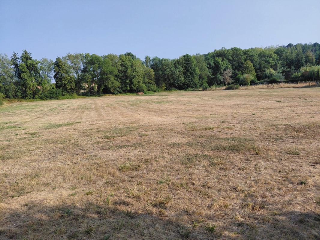 Terrain 9803 m2
