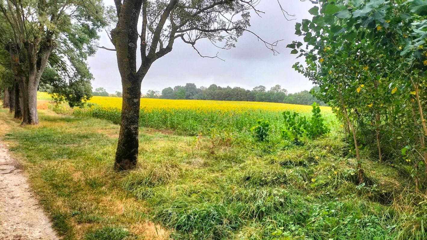 Terres agricoles 40 Ha (32120 ) Puycasquier