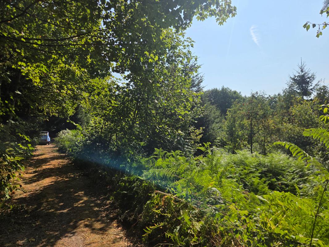 Terrain 16790 m2