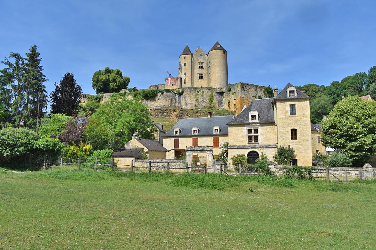 Demeure de prestige Salignac Eyvignes 9 pièce(s) 275 m2