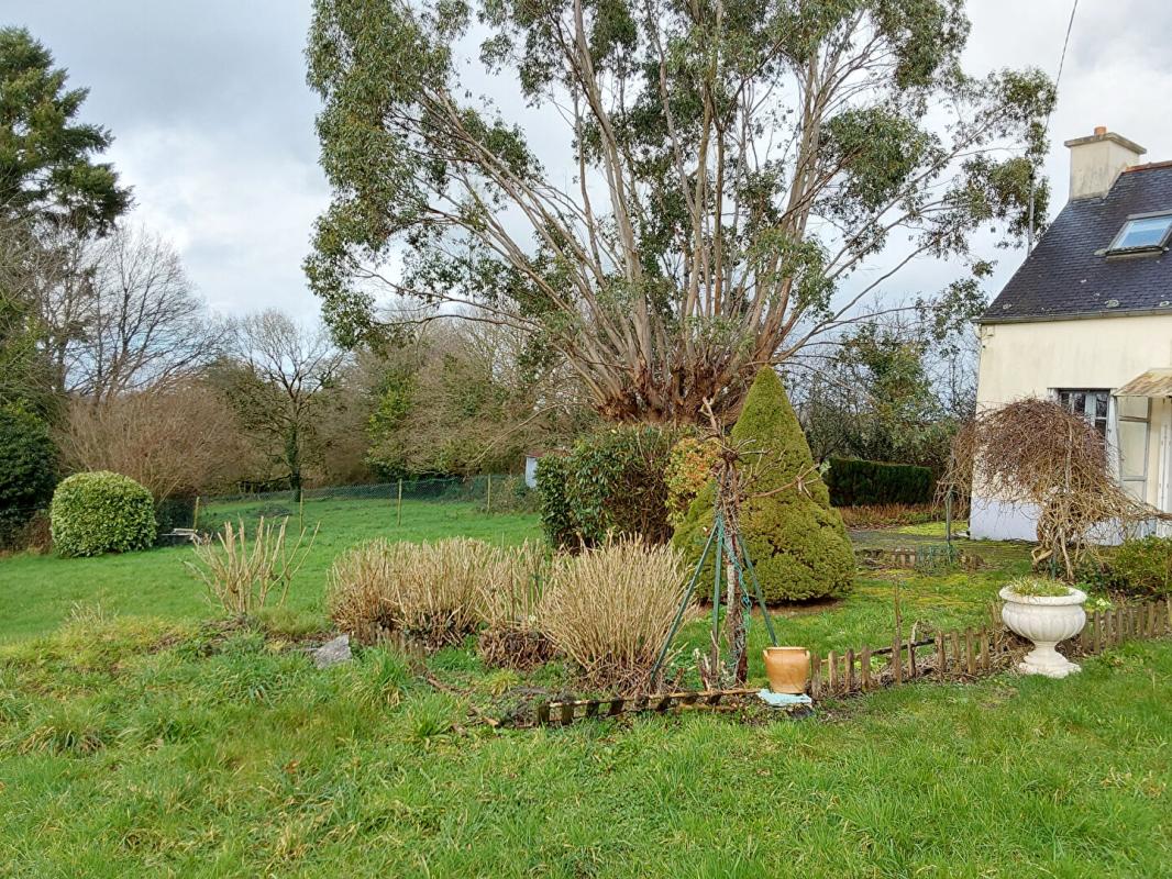 Maison Paule 5 pièce(s) 82 m2