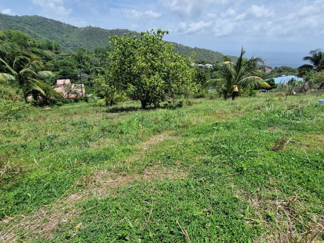 Terrain Le Morne Vert