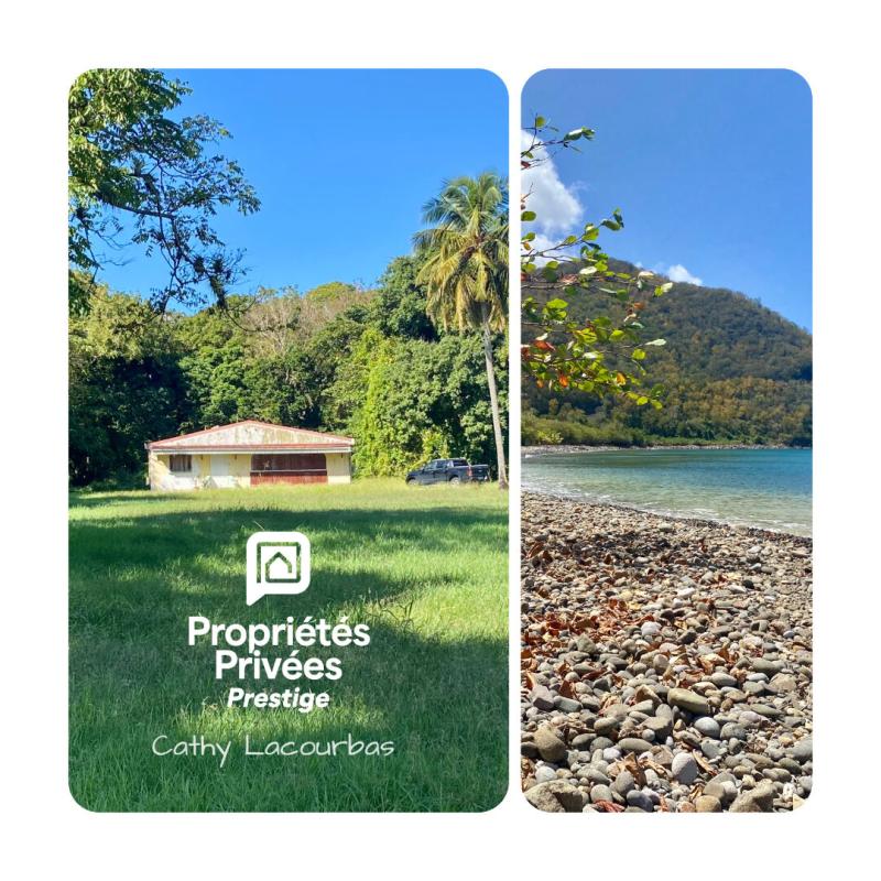 Terrain viabilisé 10000 m2 constructible accès littoral- Pointe Noire -Guadeloupe