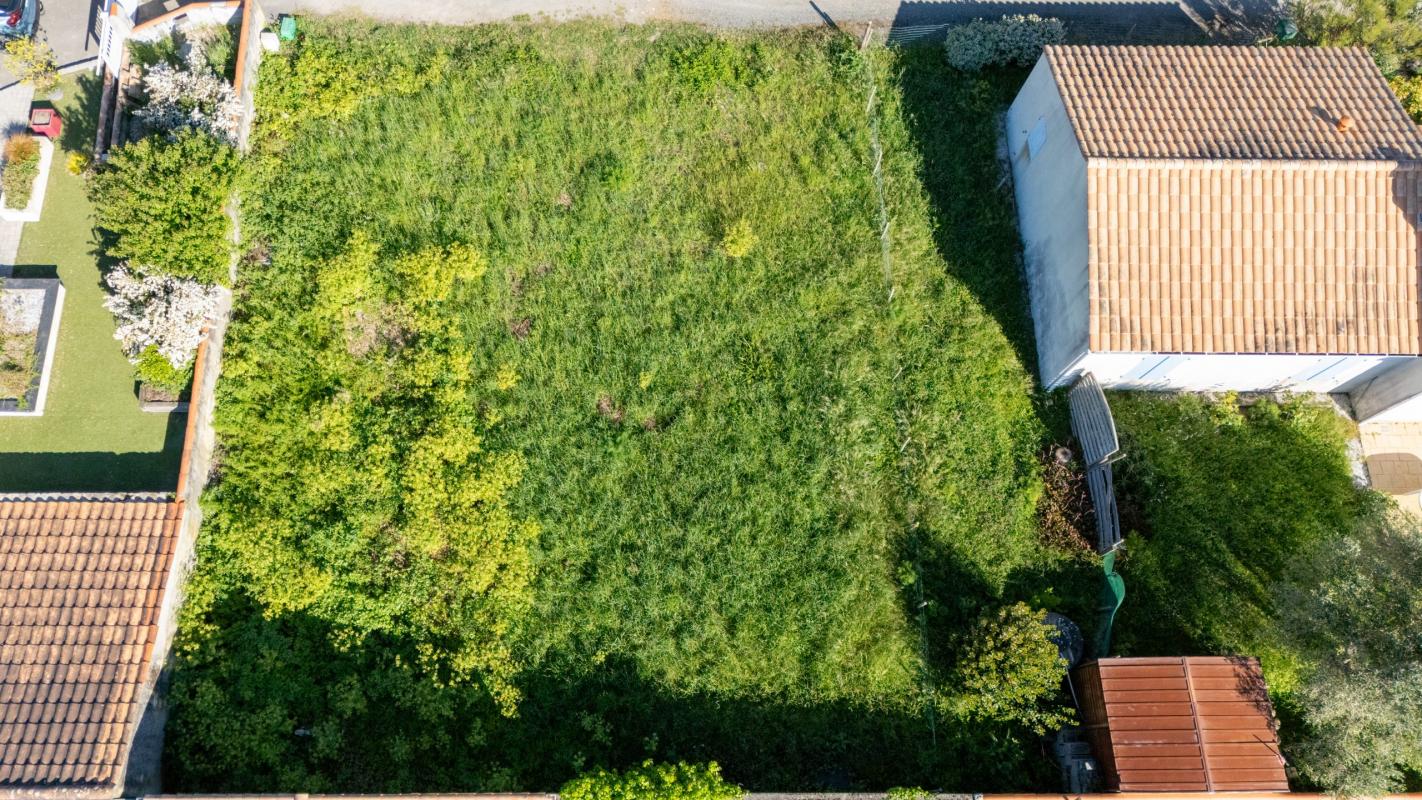 Terrain
