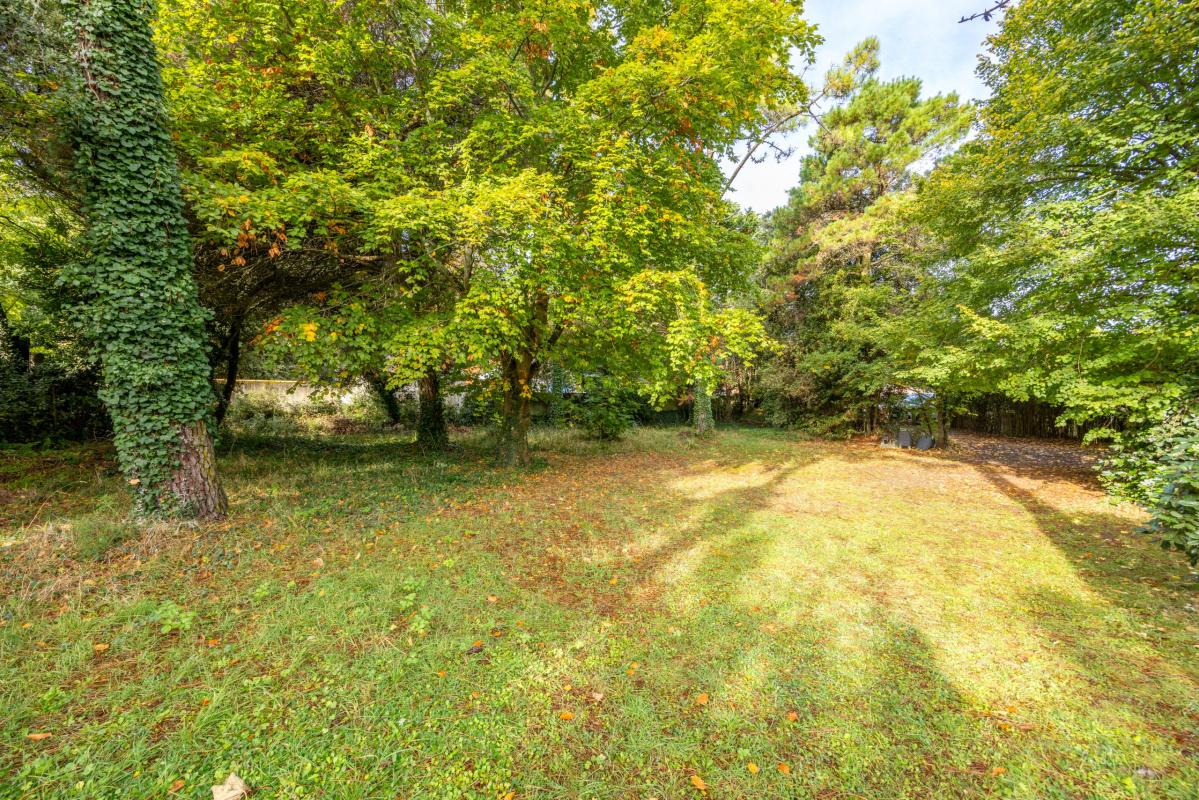 Terrain arboré de 904m²