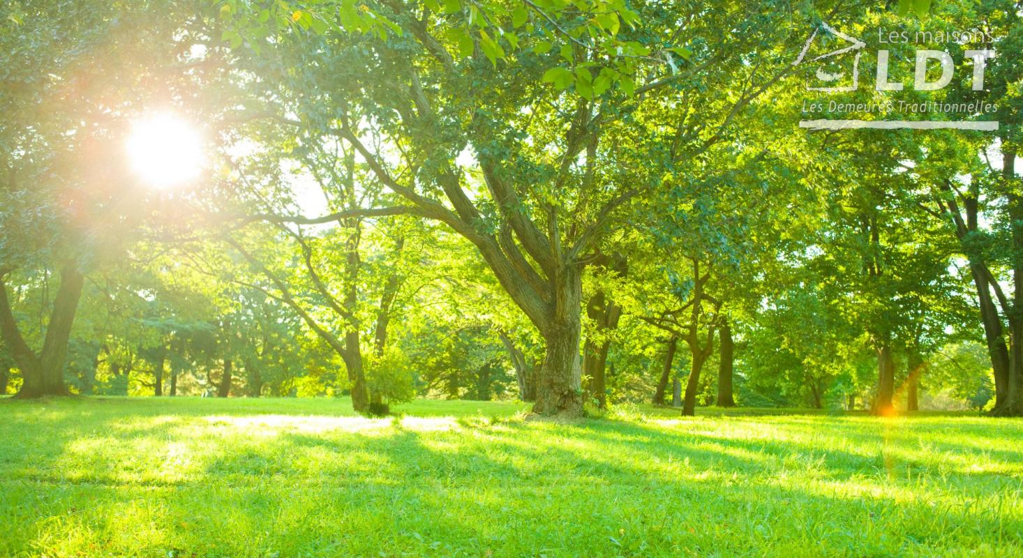 Très beau terrain constructible viabilisé de 450m2 disponible à Champmotteux (91150)