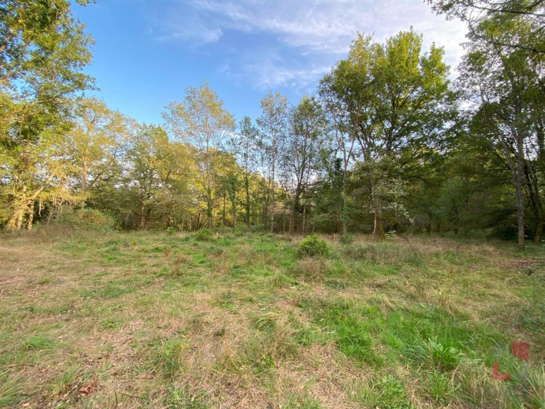 Terrain à bâtir de 11530m²