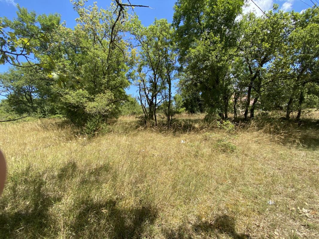 Terrain à vendre - 2000 m² - Secteur Martel (46600)
