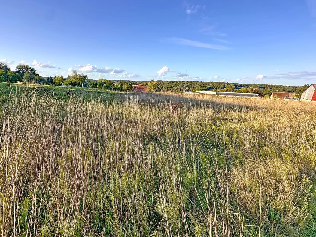 Charmant terrain de 5 676 m² situé à MONTMORT LUCY
