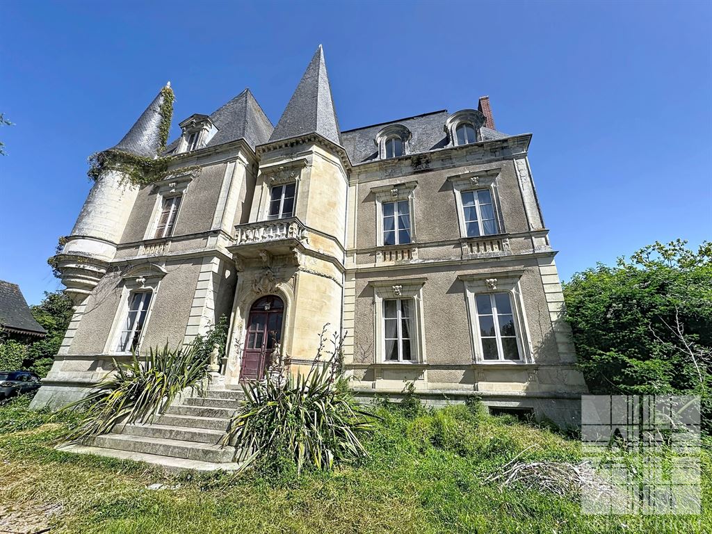 Château du Domaine avec parc de 4 084 m² - un projet de restauration unique!