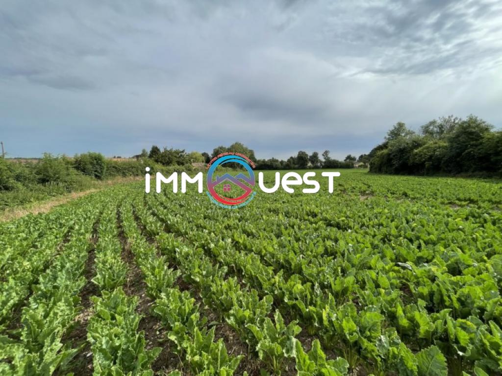 Terrain en Vente - Bouquehault (62340)