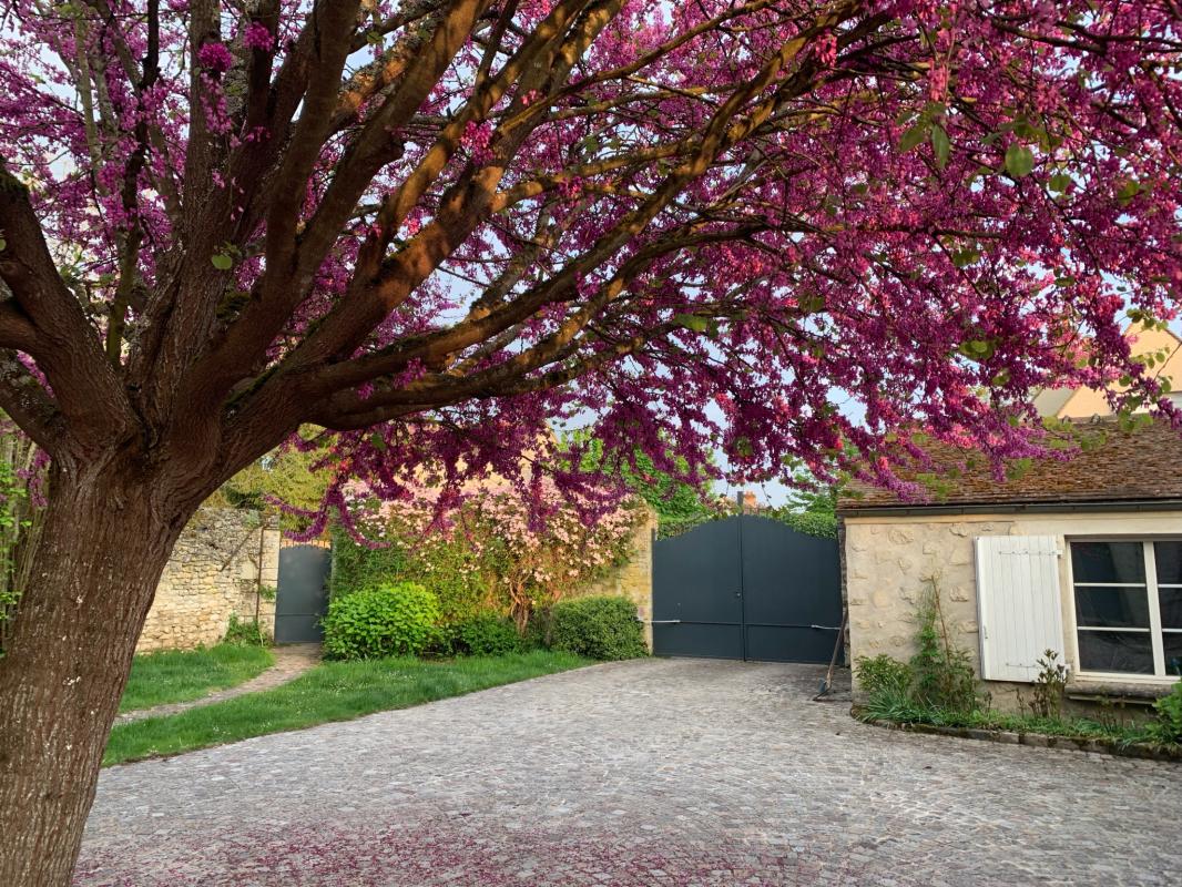 Maison 5 MN SENLIS 8 pièces 235 m2 - Miniature 18