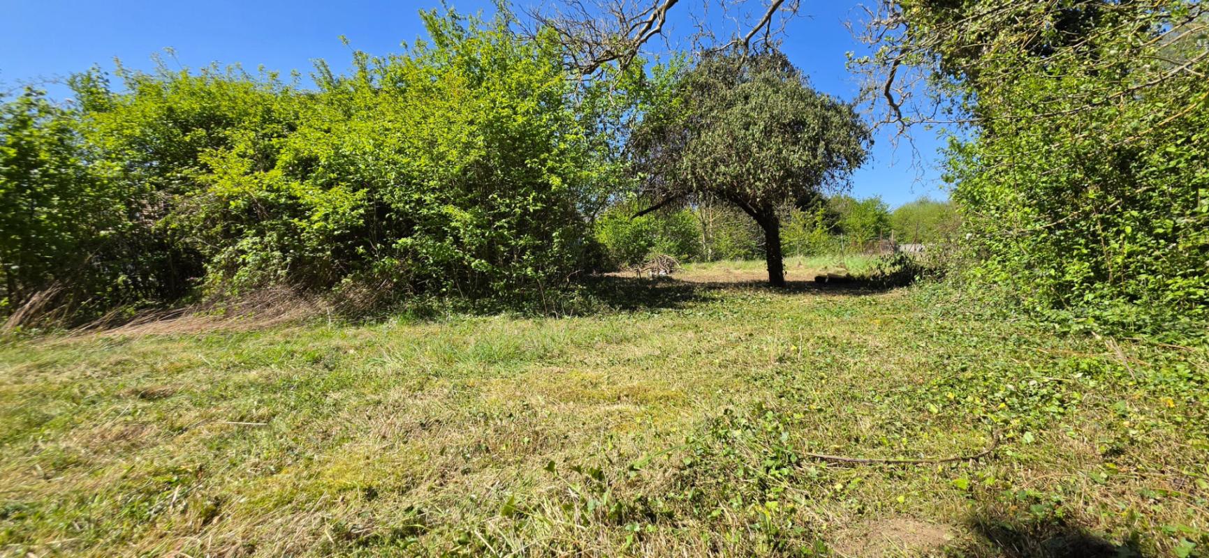 TERRAIN CONSTRUCTIBLE - MACHEMONT