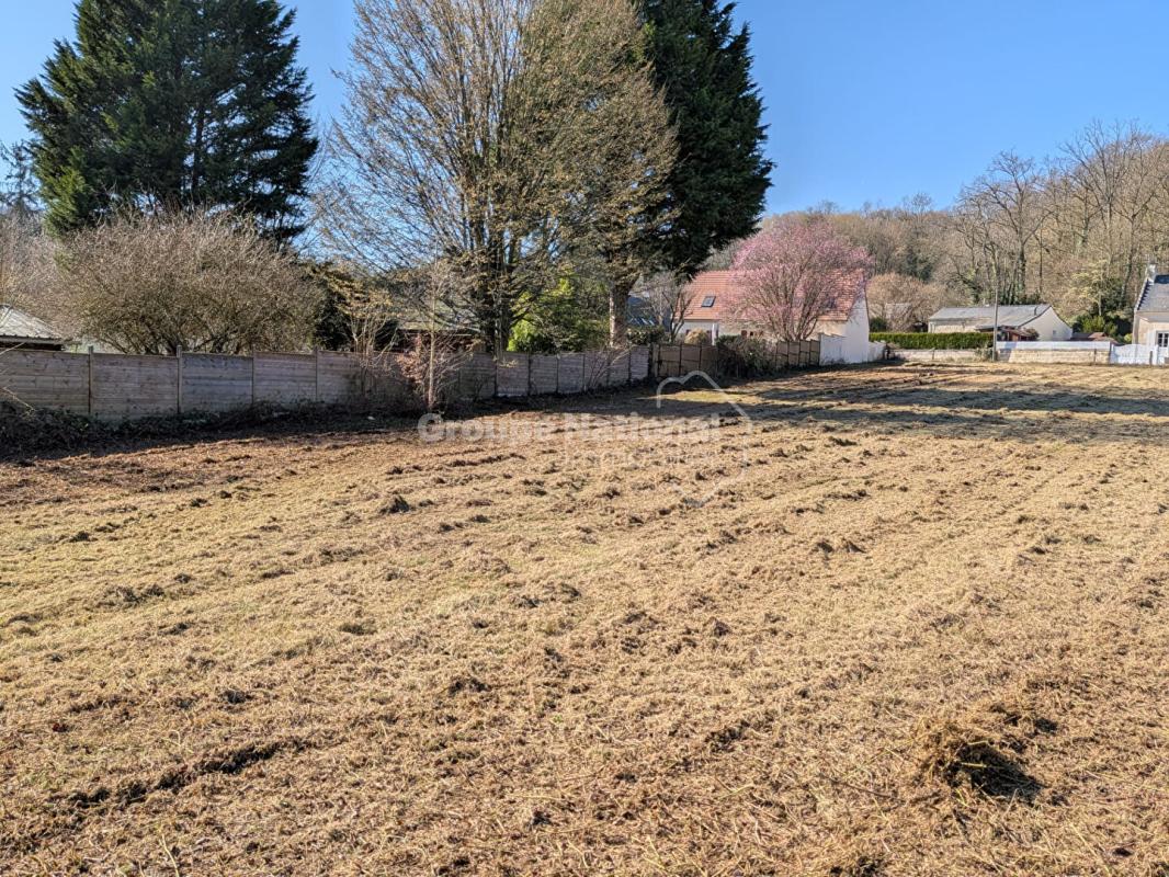 Terrain en bordure de forêt
