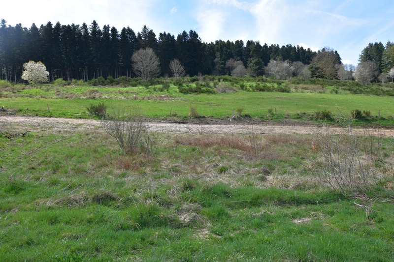 Terrain à vendre de 1 018,00 m² DUNIERES (43) Vue dégagée – Cadre paisible – Proche commodités