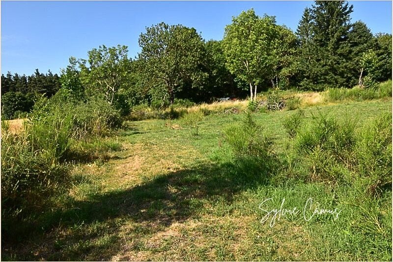 Terrain à vendre de 1 300,00 m² SAINT PAL DE MONS (43)