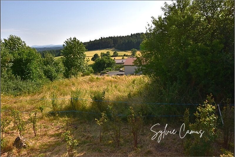 Terrain à vendre de 1 200,00 m² SAINT PAL DE MONS (43)