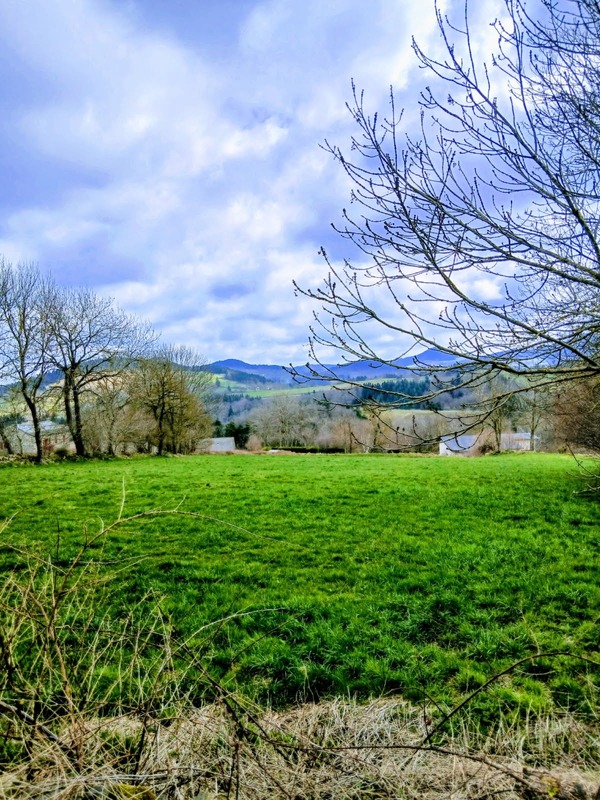 Le Perthuis, belles parcelles de terrains à vendre (7050 m² dont 3720 m² constructibles)