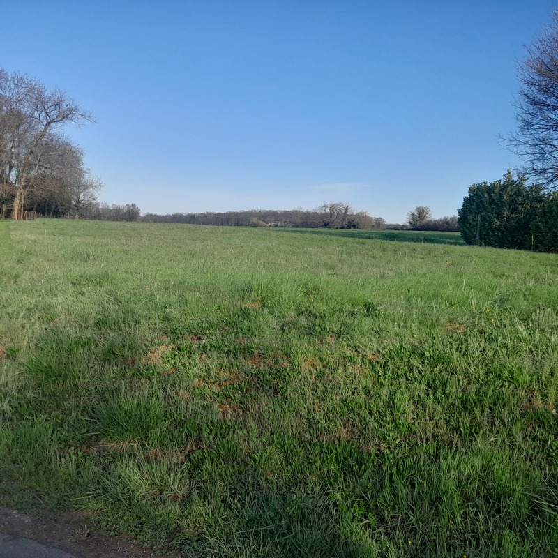Terrain plat 1980 m² à la campagne – cadre calme – mandat exclusif - SAINT SORNIN (16)