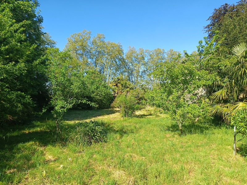 Exclusivité : Terrain constructible arboré en Cœur de Ville avec petite dépendance