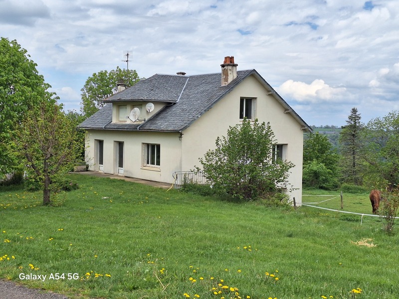 Maison + bois