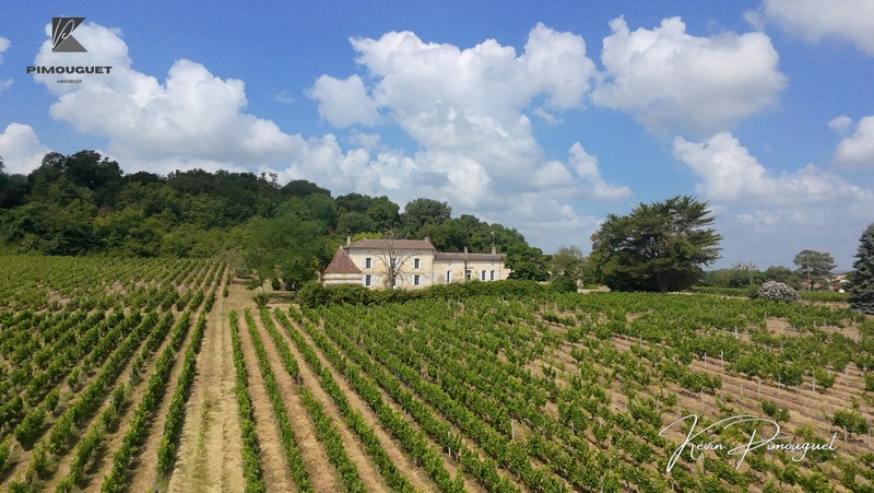 Chartreuse du XVIIIe avec vignoble – Entre-deux-Mers