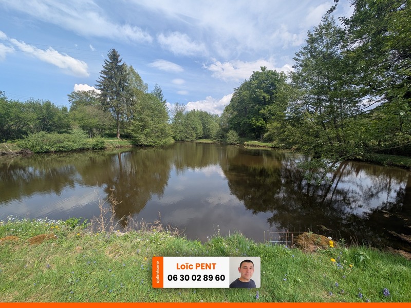 Etang à vendre sur un terrain de 26 033,00 m² LE MAYET DE MONTAGNE (03250)