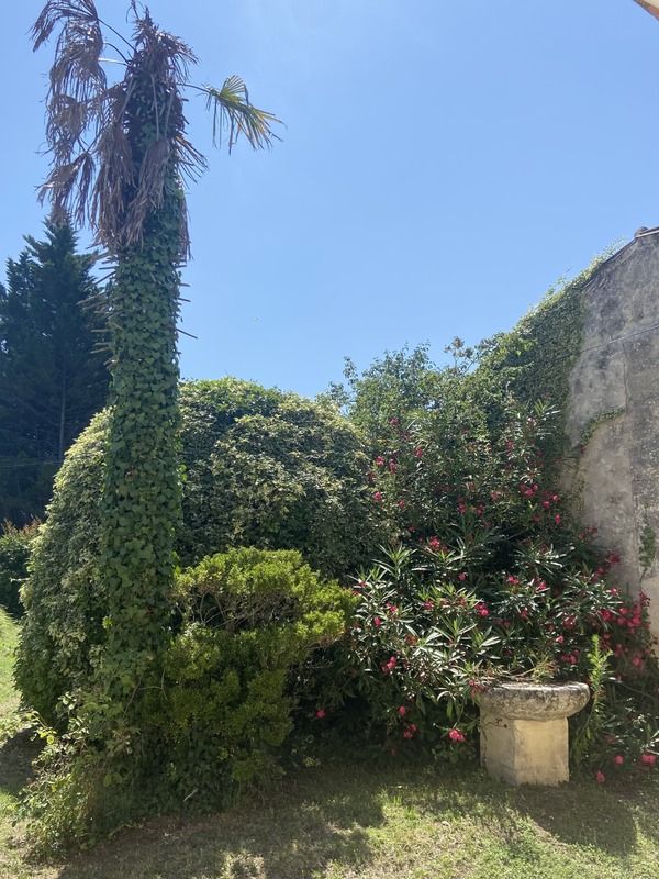 Domaine à taille humaine avec maison pierre joliment rénovée 4 chambres, piscine et nombreuses dépendances sur 4hectares près de Libourne