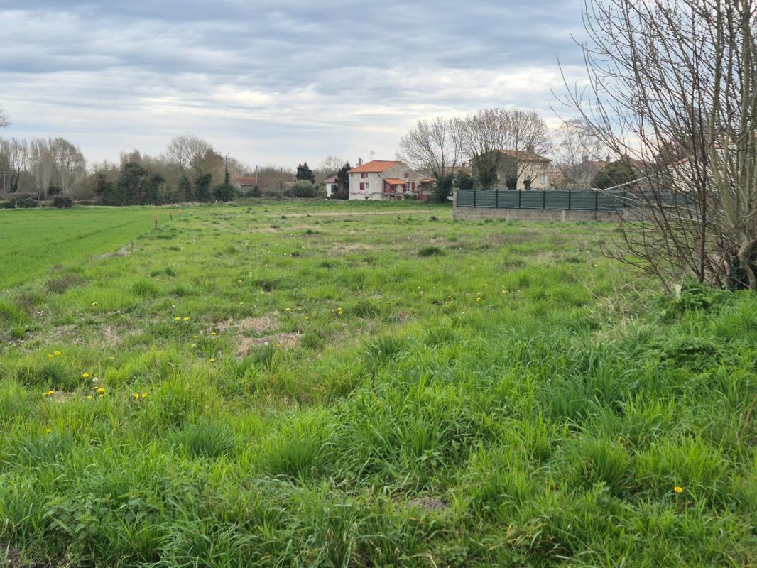 Terrain de 1098m² à 32 940€ HAI, Lot 1 FRONTENAY ROHAN ROHAN (79)