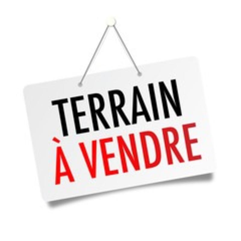 TERRAIN A BATIR secteur MANSLE (16)