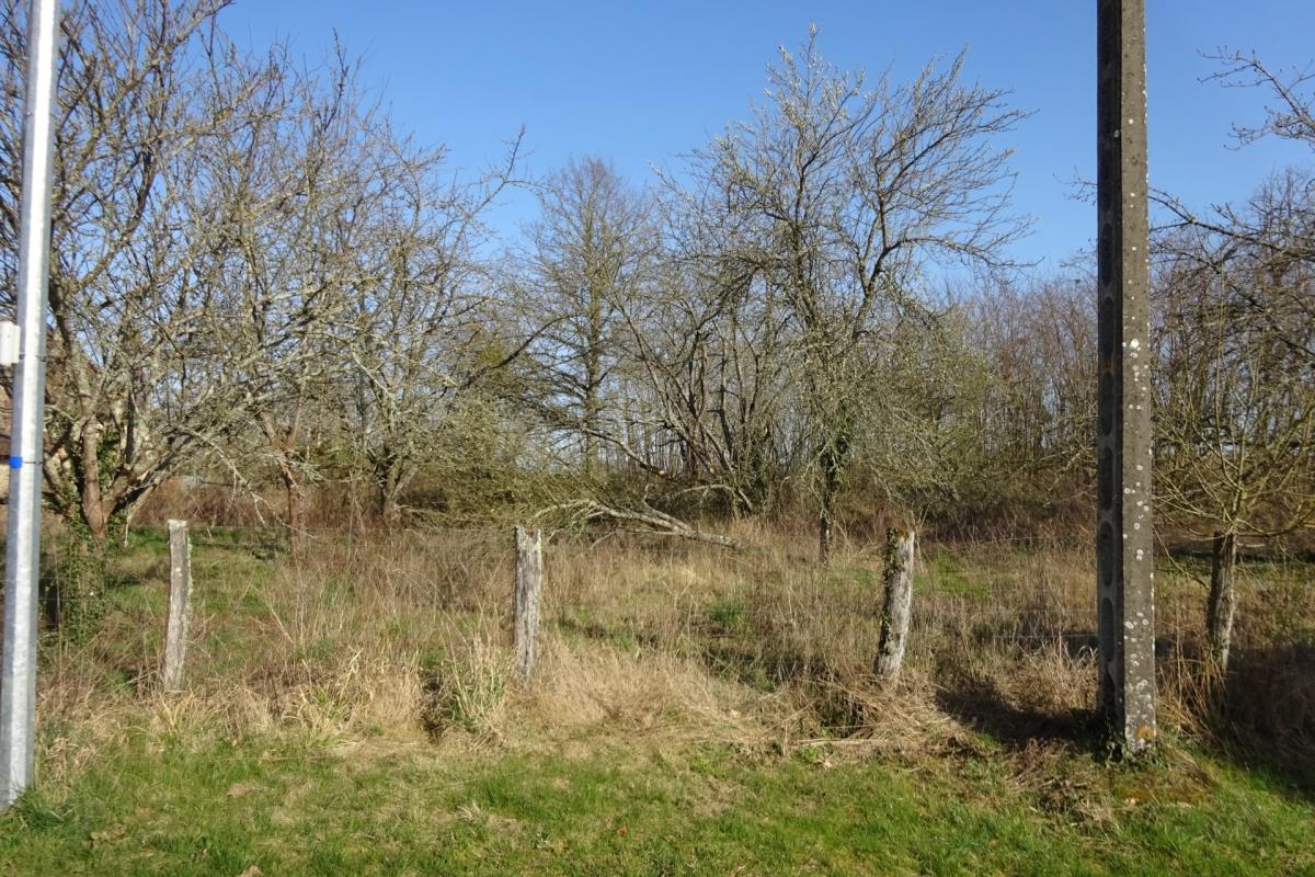 Terrain à vendre de 1 341,00 m² CHUELLES (45)