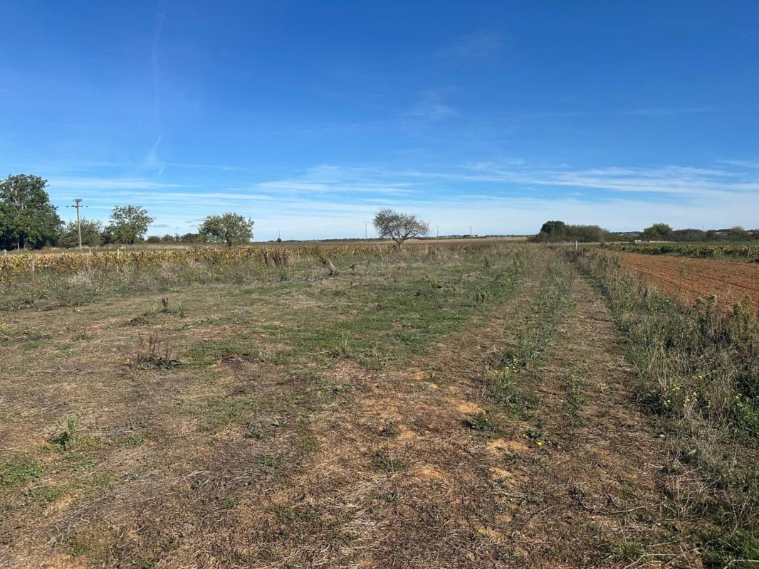Terrain à vendre de 2 241,00 m² NALLIERS (secteur Chevrette) (85)