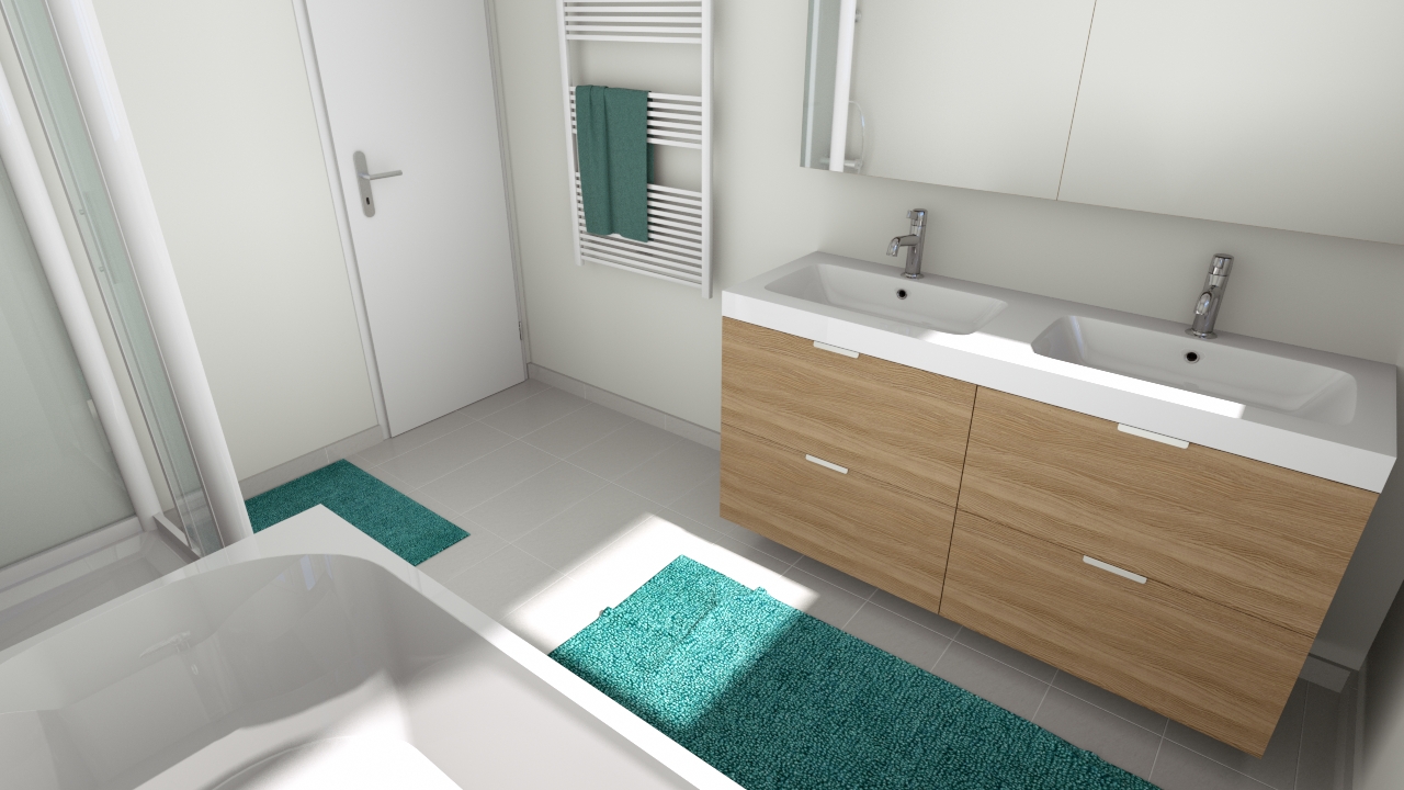 Programme Terrain + Maison