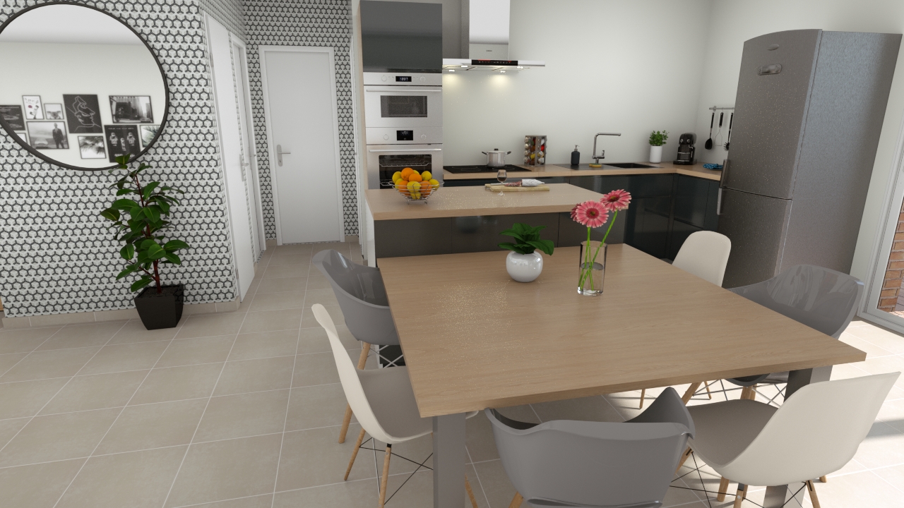 Programme Terrain + Maison