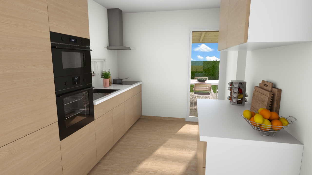 Programme Terrain + Maison