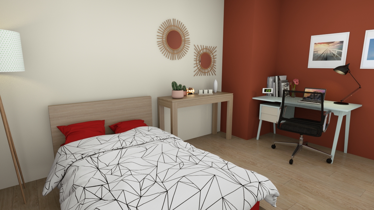 Programme Terrain + Maison