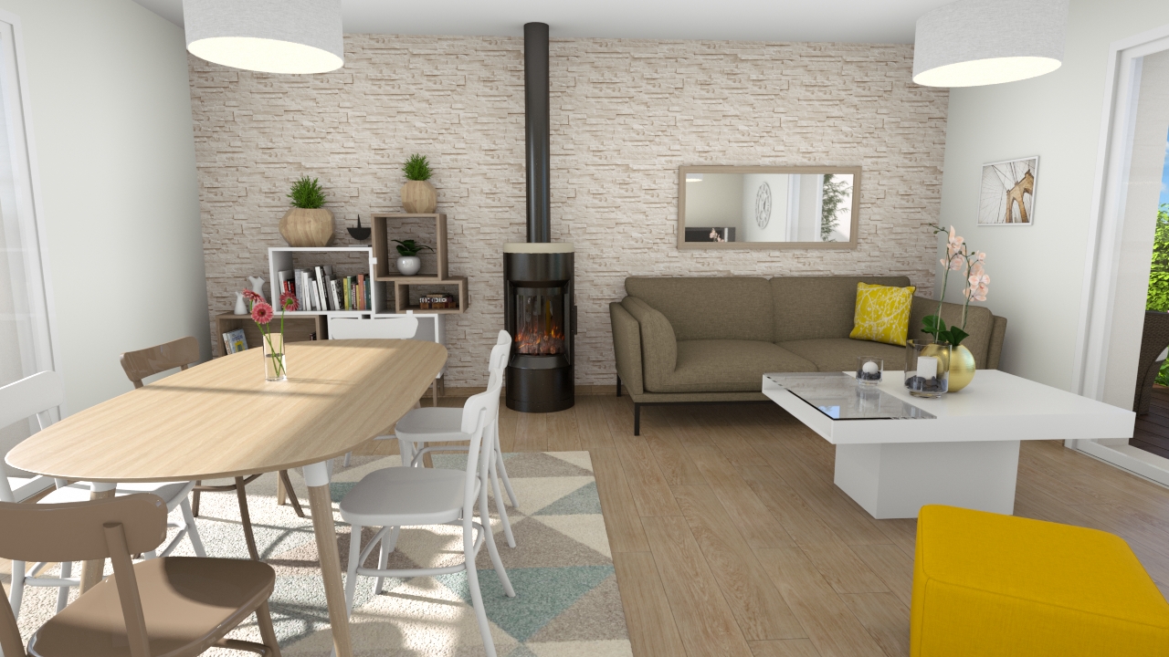 Programme Terrain + Maison