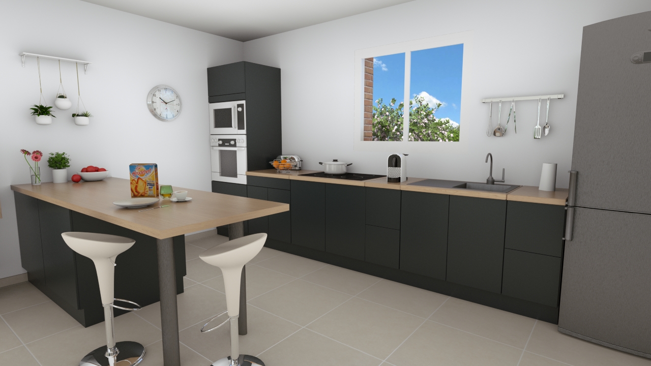 Programme Terrain + Maison