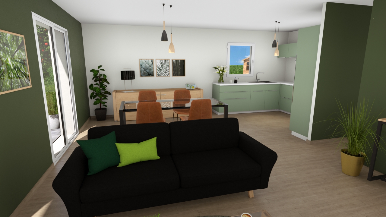 Programme Terrain + Maison